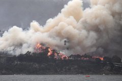 <b>天辰平台登录澳洲森林大火肆虐 加拿大一家躲电</b>