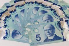<b>天辰代理开户央行推5元新钞 会印哪位加拿大人头</b>