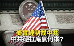 <b>夏林：天辰内部主管对孟晚舟和加拿大人质 两封</b>