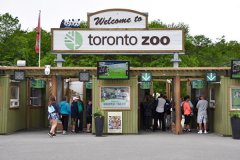 <b>多伦多动物园周六开放 天辰总代理游园方式改变</b>